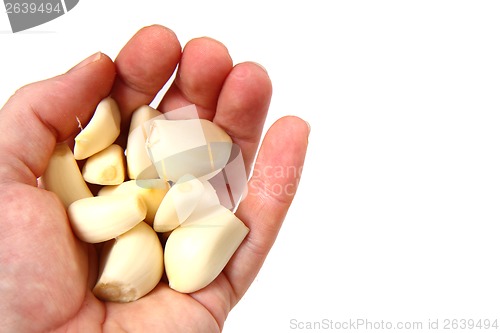 Image of garlic in my hand 