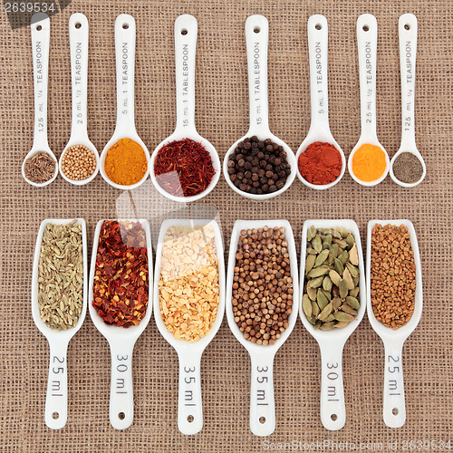 Image of Herb and Spice Measurement