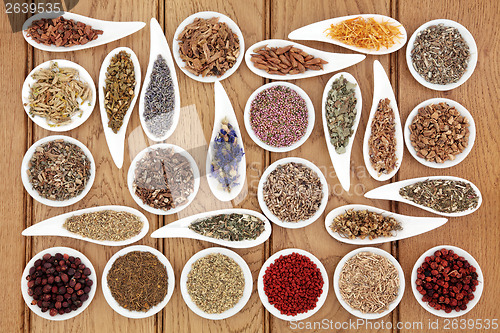 Image of Herbal Medicine