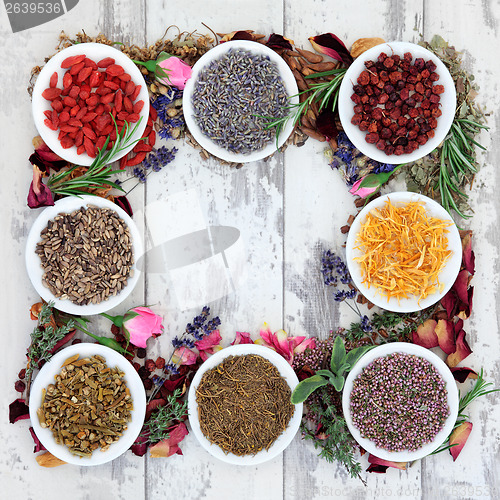 Image of Medicinal Herbs