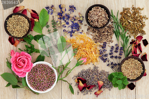 Image of Natural Herbal Medicine