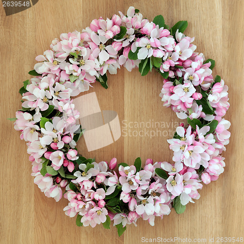 Image of Apple Blossom Wreath