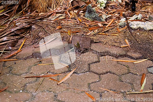 Image of broken sidewalk of three sided bricks