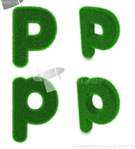 Image of Letter P made of grass