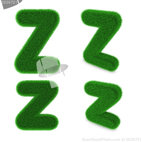 Image of Letter Z made of grass