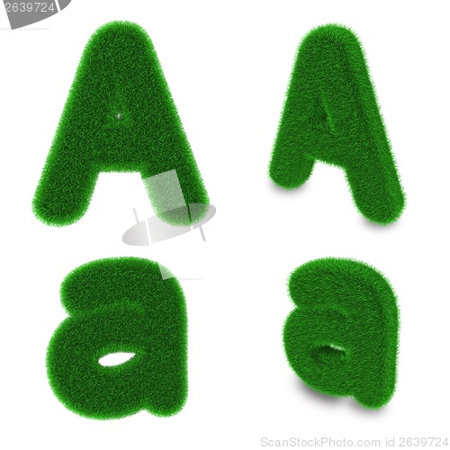 Image of Letter A made of grass