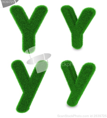 Image of Letter Y made of grass