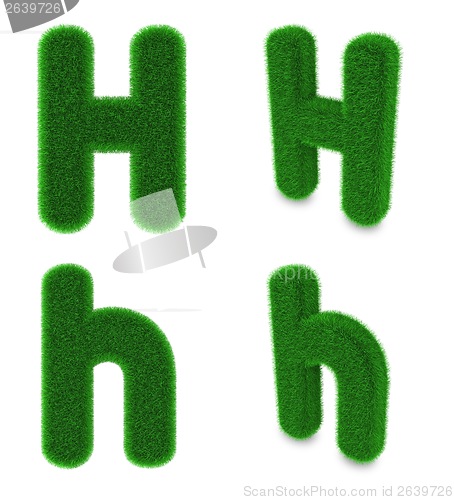 Image of Letter H made of grass