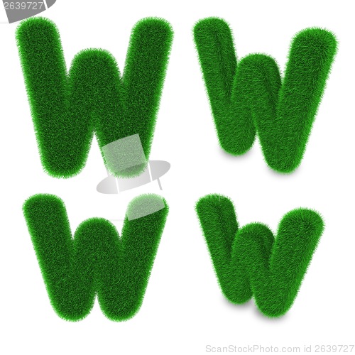 Image of Letter W made of grass