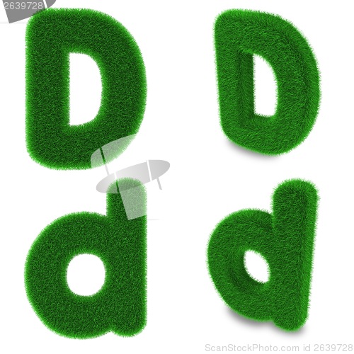 Image of Letter D made of grass