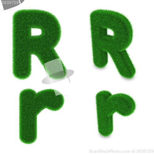Image of Letter R made of grass