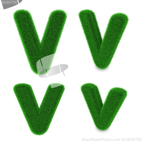 Image of Letter V made of grass