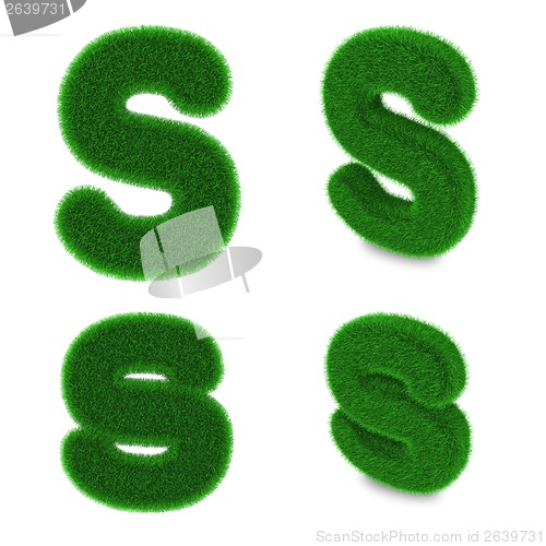 Image of Letter S made of grass