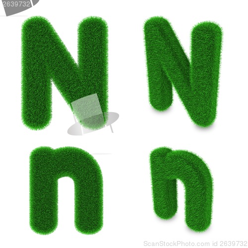 Image of Letter N made of grass