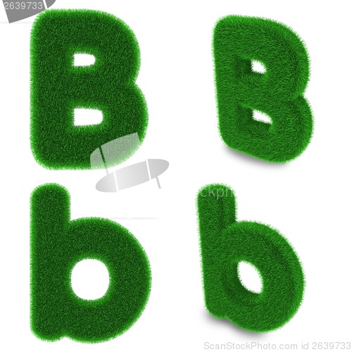 Image of Letter B made of grass