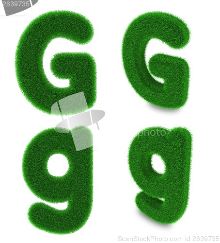 Image of Letter G made of grass