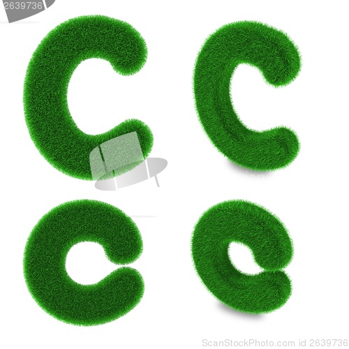 Image of Letter C made of grass
