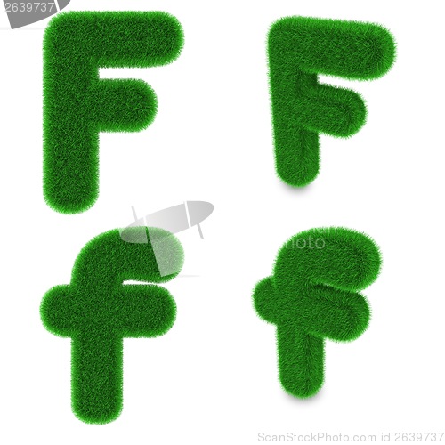 Image of Letter F made of grass