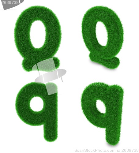 Image of Letter Q made of grass