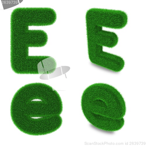 Image of Letter E made of grass