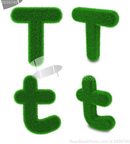 Image of Letter T made of grass