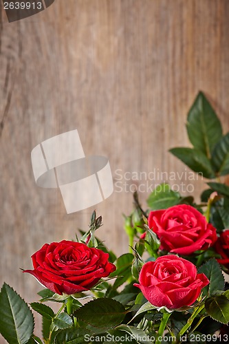 Image of red roses