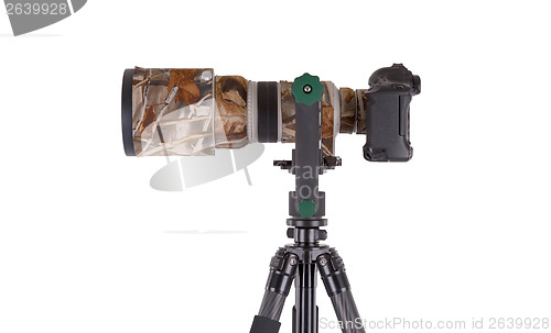 Image of Long camouflaged professional supertele on tripod