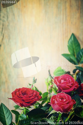 Image of red roses