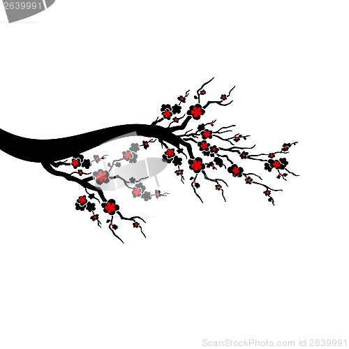 Image of Cherry Blossoms Tree