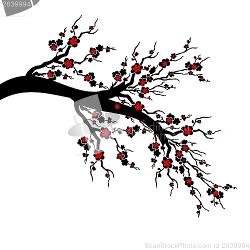 Image of Cherry Blossoms Tree