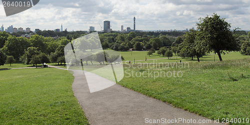 Image of Primrose Hill London