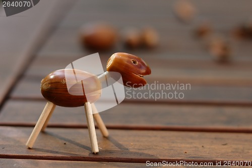 Image of acorn animal