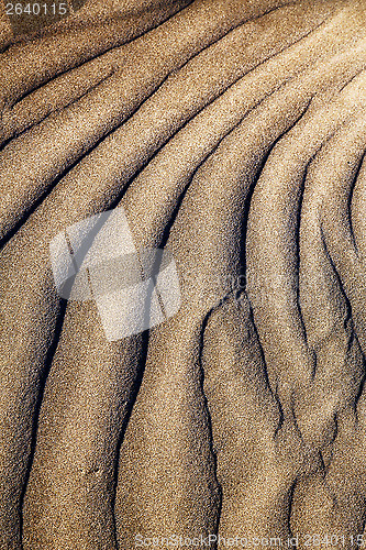 Image of  texture abstract of a  dry sand 