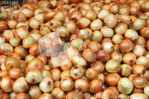Image of lot of onions