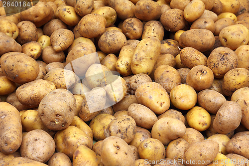 Image of lot of potatoes