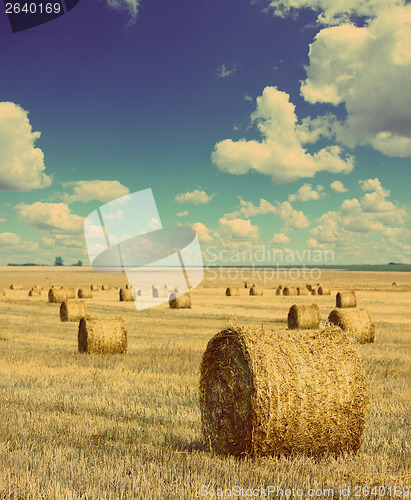 Image of bales of straw in field - vintage retro style