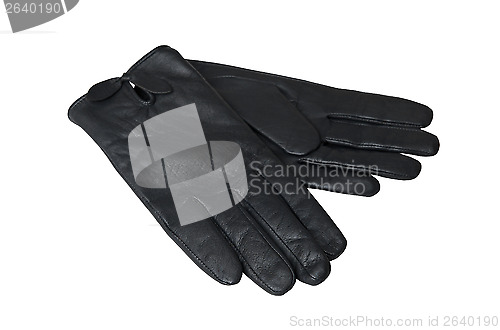 Image of Gloves