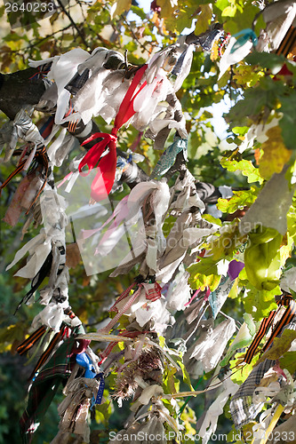 Image of tree of prayers