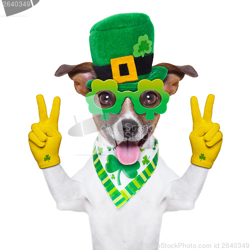 Image of st patricks  day dog 