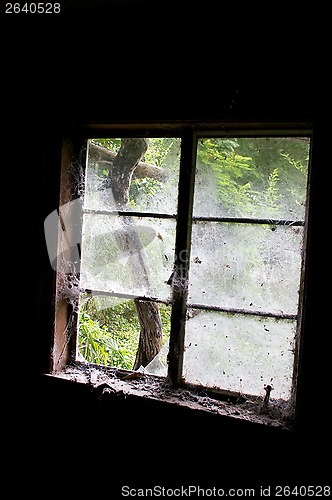 Image of in dark room looking out