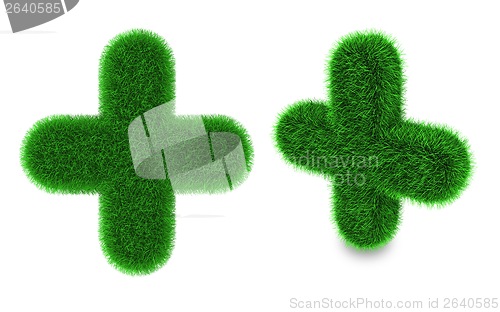 Image of Plus sign made of grass