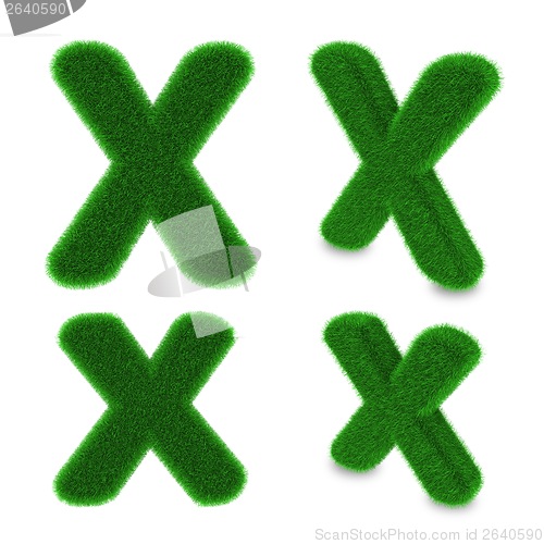 Image of Letter X made of grass