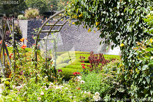 Image of Garden Maze