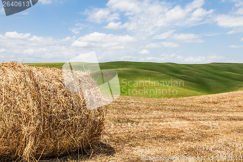 Image of Tuscany agriculture