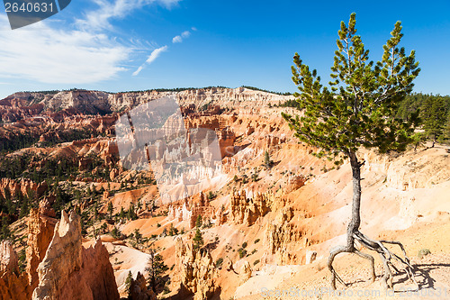 Image of Bryce Canyon