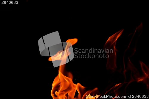 Image of fire flame on black background