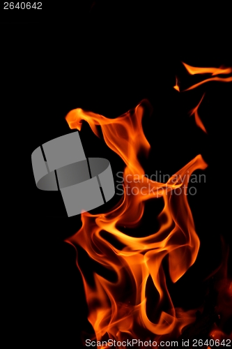 Image of fire flame on black background