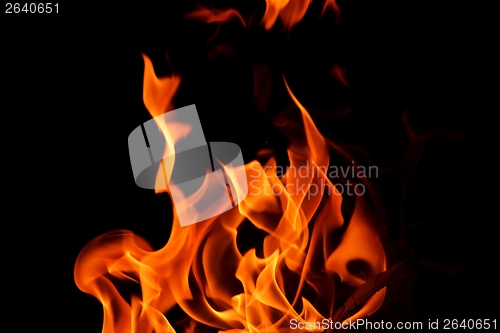 Image of fire flame on black background