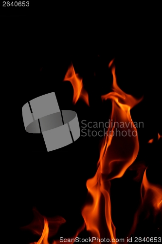 Image of fire flame on black background
