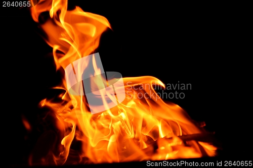 Image of fire flame on black background